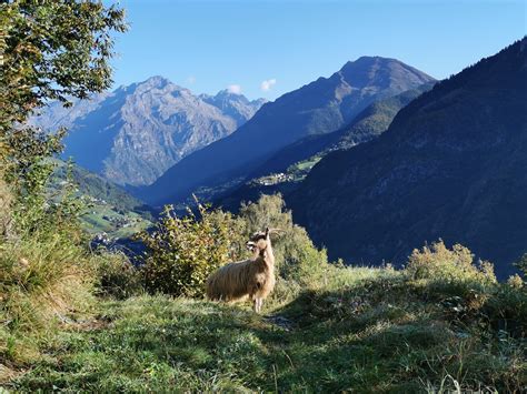 Usato da €1a 50 € Val Seriana e dintorni .